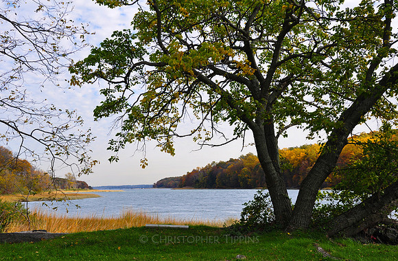 Fall Foliage, Long Island, New York, 2010