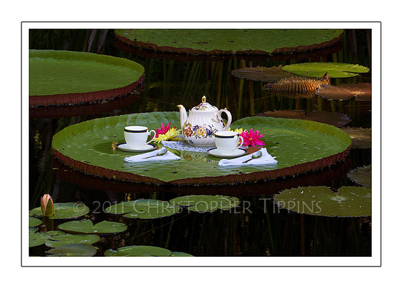 Tea for Two