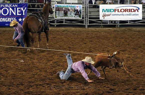 Ropin' a cow.
