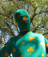 Delray Beach St. Patrick's Day Parade 2015