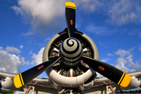 Stuart Air Show, Stuart, Florida, 2010