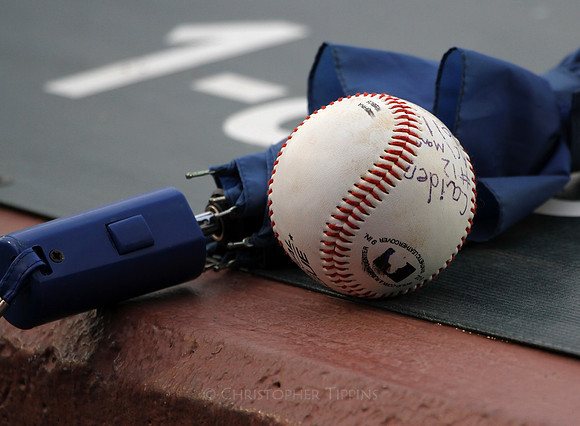 On the dugout.