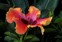 Mounts Botanical Garden, April 26, 2025