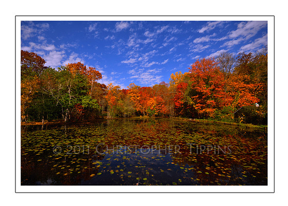 Fall Foliage, Long Island, New York 01