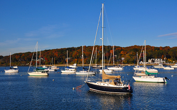 Fall Foliage, Long Island, New York, 2010