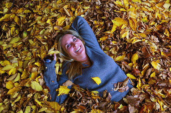 Fall Foliage, Long Island, New York, 2010
