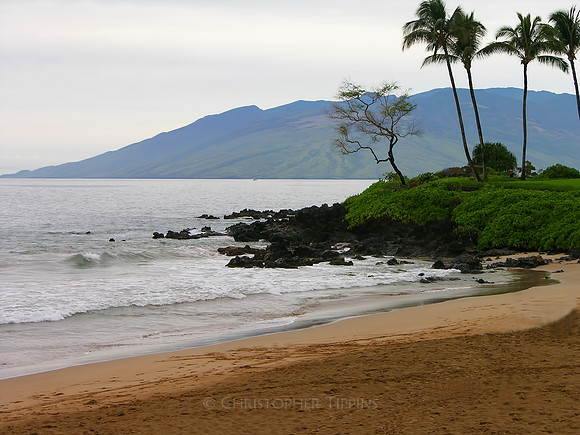 Maui