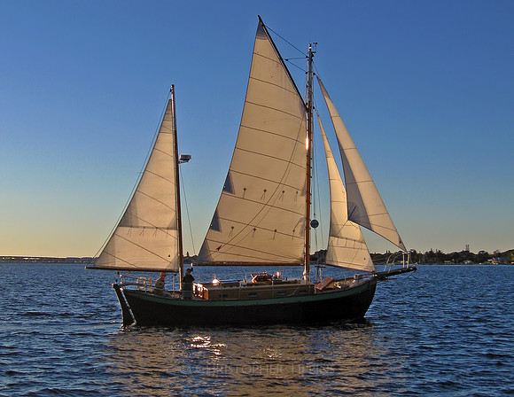 Out on the Schooner Lily