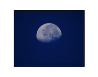 Blue Moon