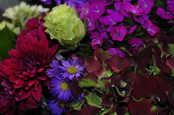 Krista and Ryan's Wedding, 2010