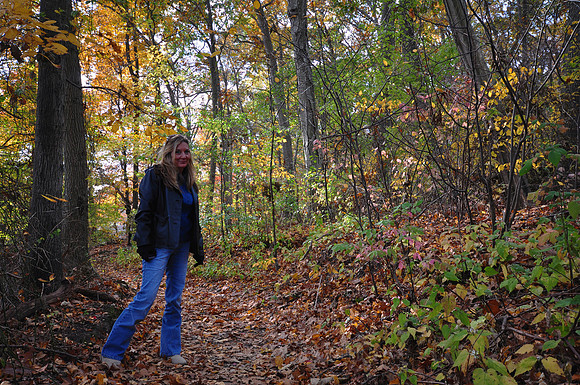 Fall Foliage, Long Island, New York, 2010