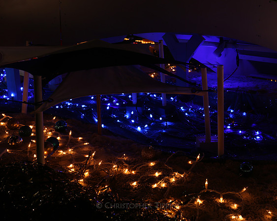 Live Nativity