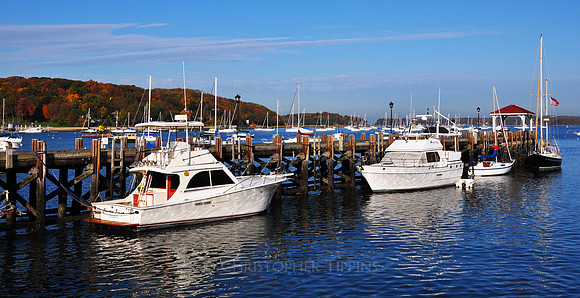 Fall Foliage, Long Island, New York, 2010