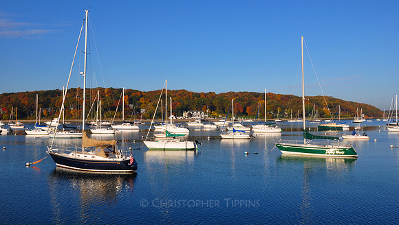 Fall Foliage, Long Island, New York, 2010