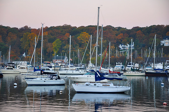 Fall Foliage, Long Island, New York, 2010