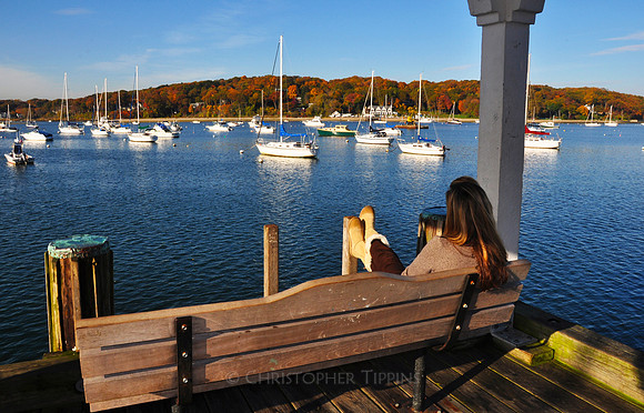 Fall Foliage, Long Island, New York, 2010