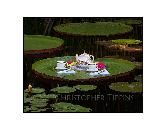Tea for Two