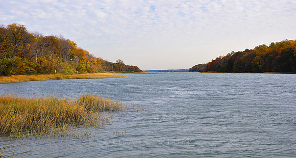 Fall Foliage, Long Island, New York, 2010