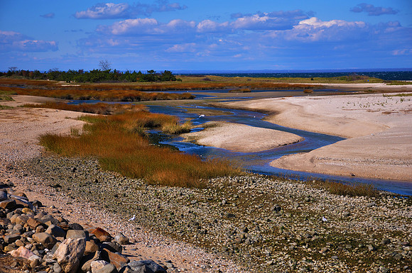Fall Foliage, Long Island, New York, 2010