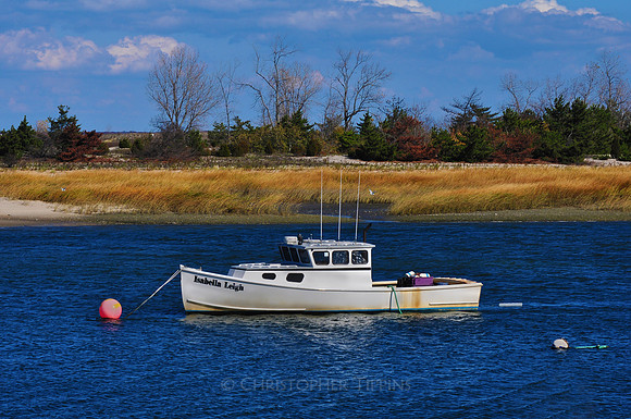 Fall Foliage, Long Island, New York, 2010