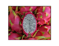 Dragonfruit