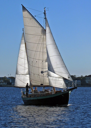 Out on the Schooner Lily
